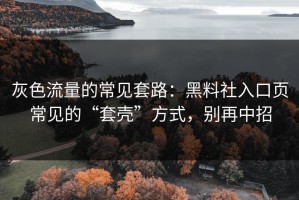 灰色流量的常见套路：黑料社入口页常见的“套壳”方式，别再中招
