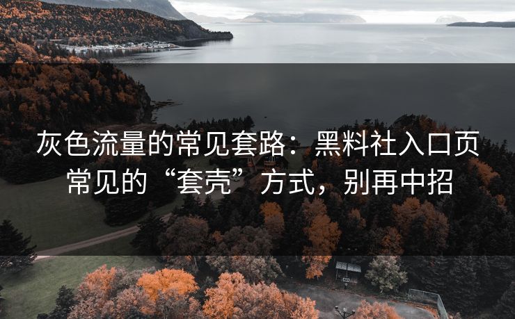 灰色流量的常见套路：黑料社入口页常见的“套壳”方式，别再中招