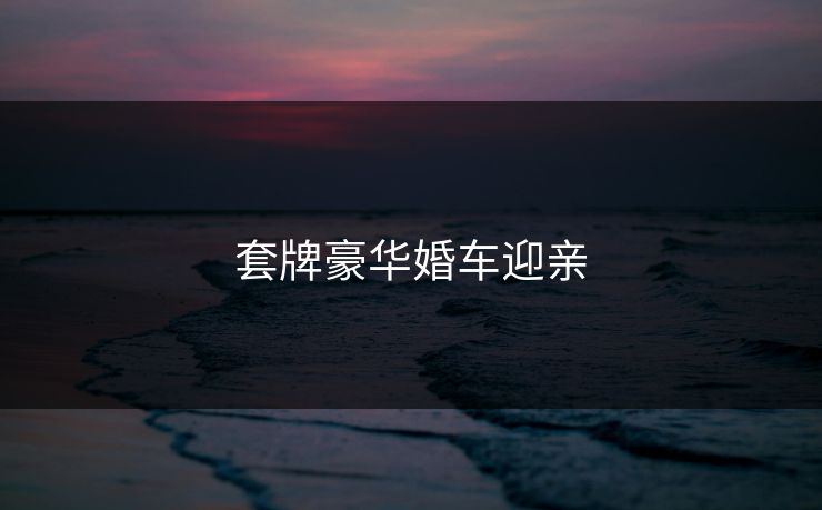 套牌豪华婚车迎亲